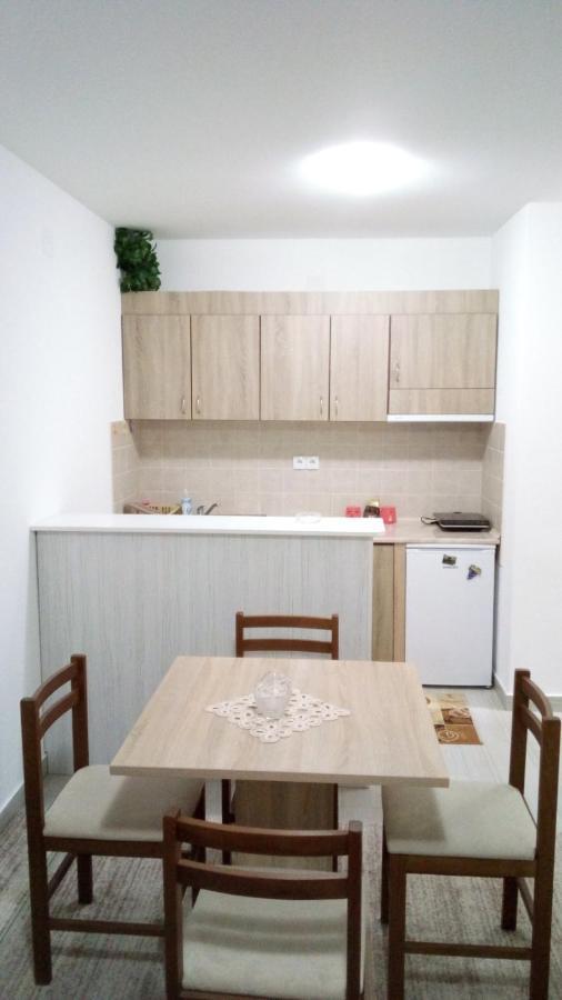 شقة Apartman Jevtic 2 Gornja Toplica المظهر الخارجي الصورة